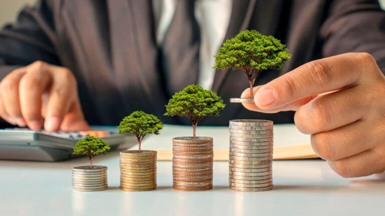 O Guia de Gestão Financeira para Empresas de Sucesso